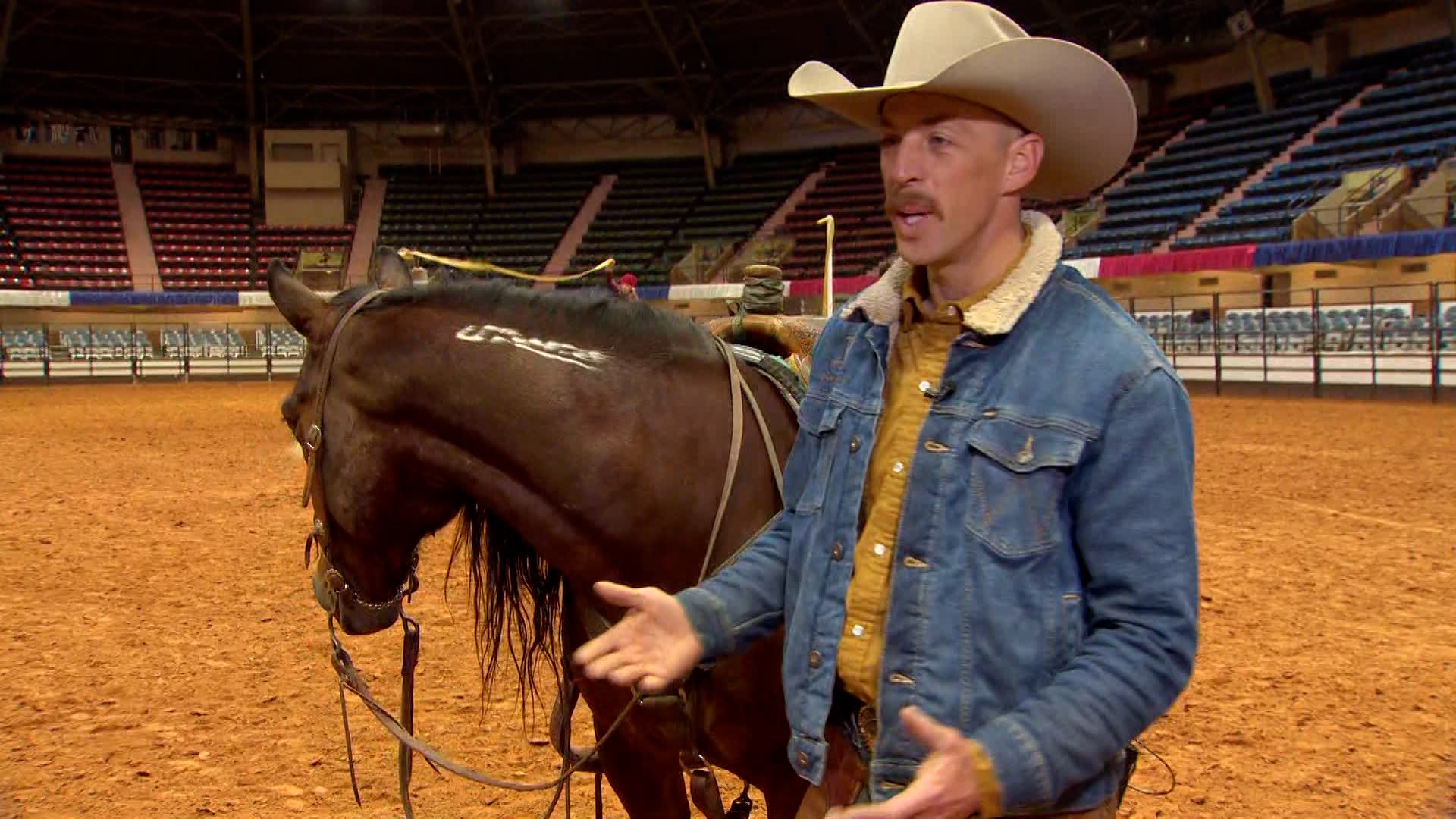 The team at MustangChampions.com joined WFAA Daybreak from the Fort Worth Stock Show.