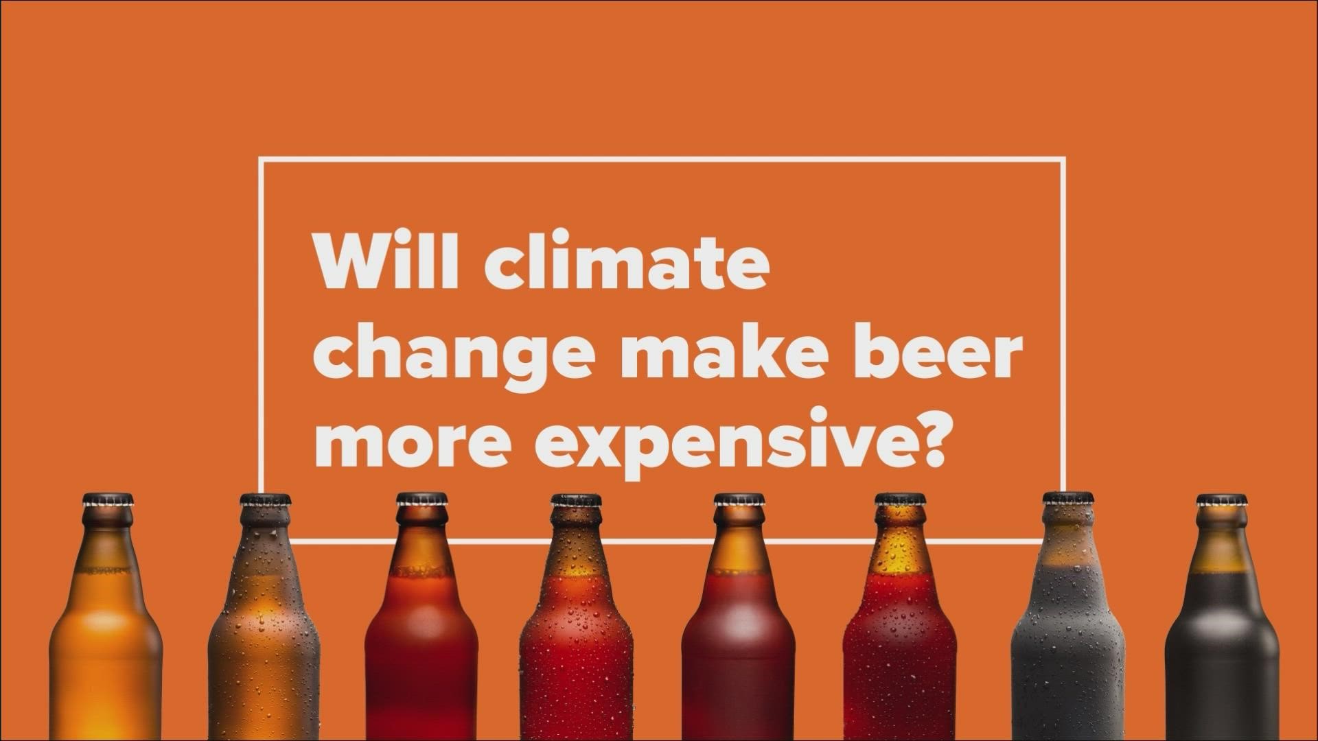 We can VERIFY, yes, extreme drought and heat are impacting the global beer supply and could lead to higher costs.