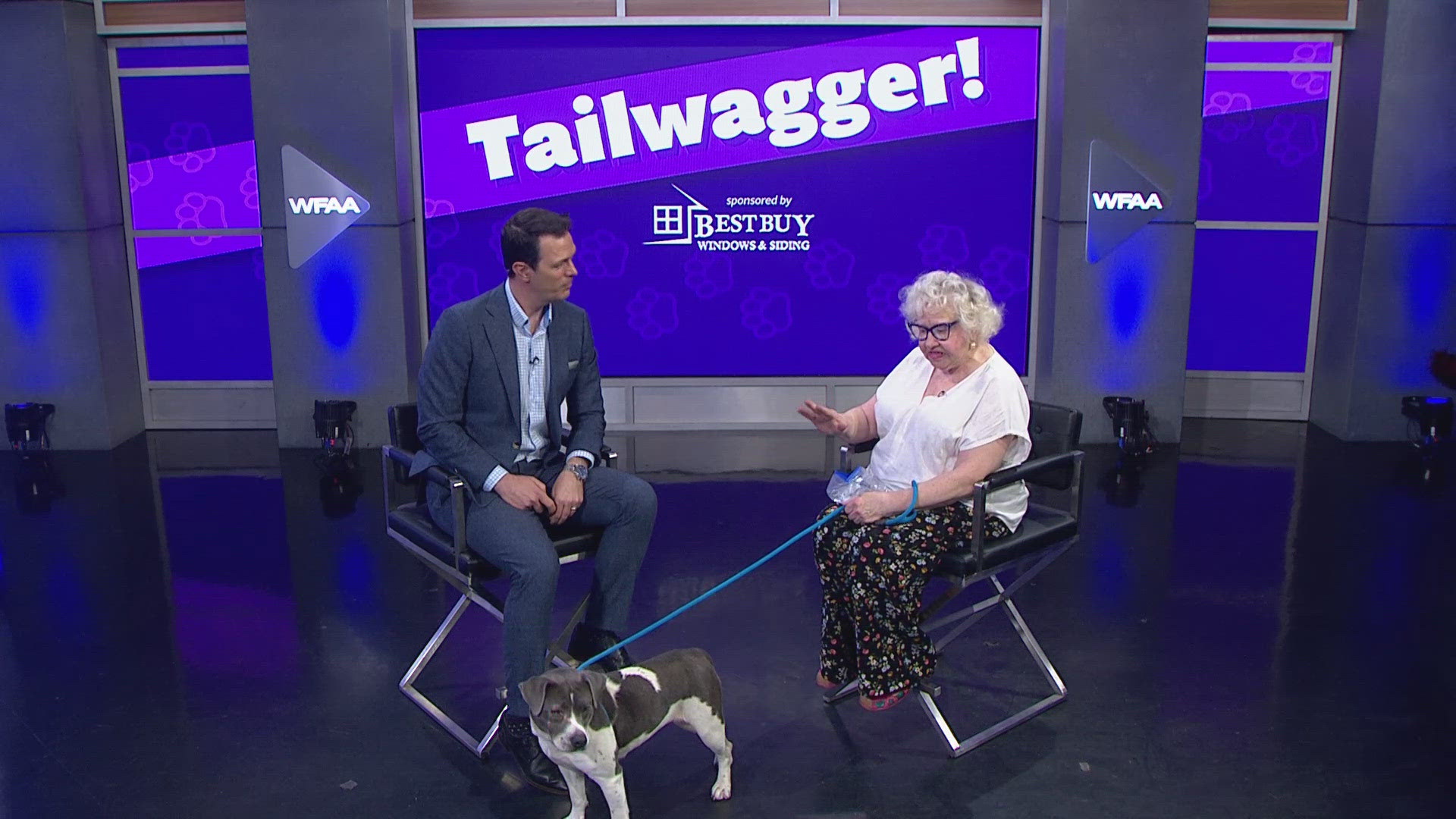 Lilac is available for adoption through the SPCA of Texas.