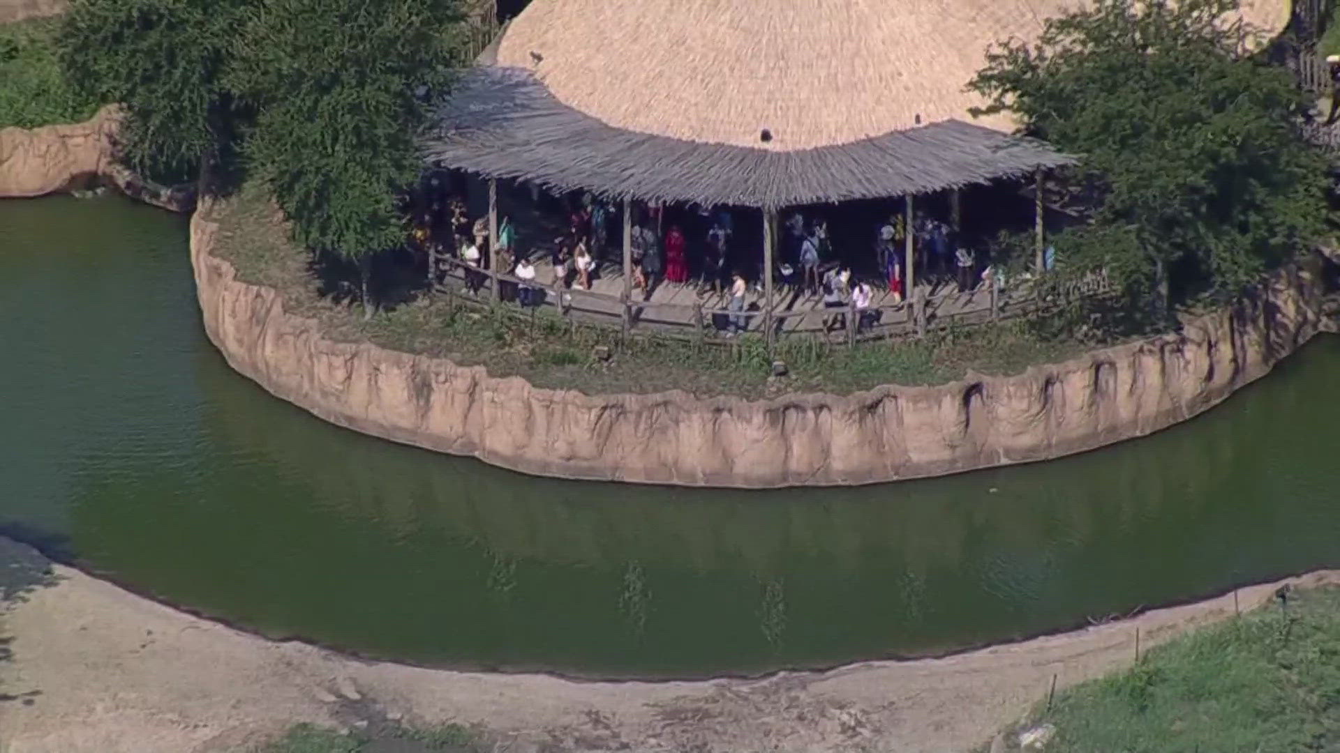The Dallas Zoo held its Dollar Day Thursday. 