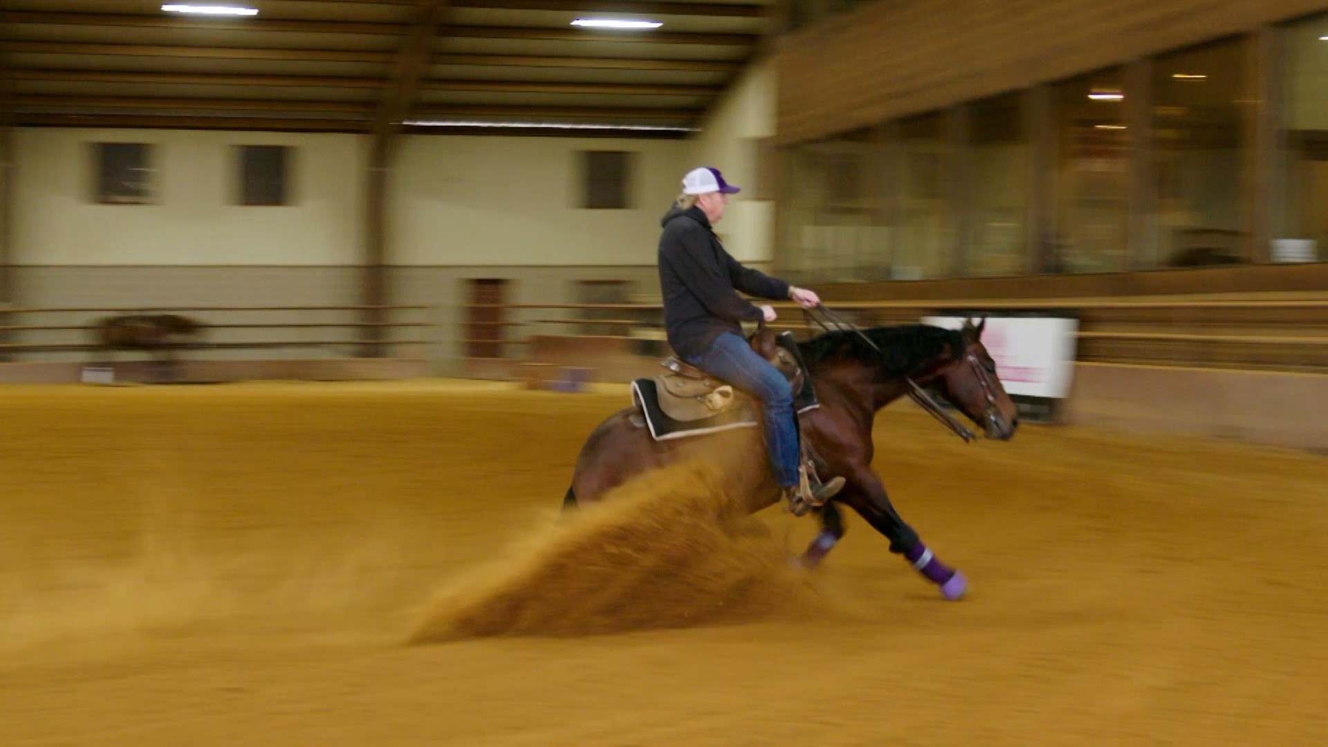 Yellowstone reining horses Meet the McCutcheon family of Texas