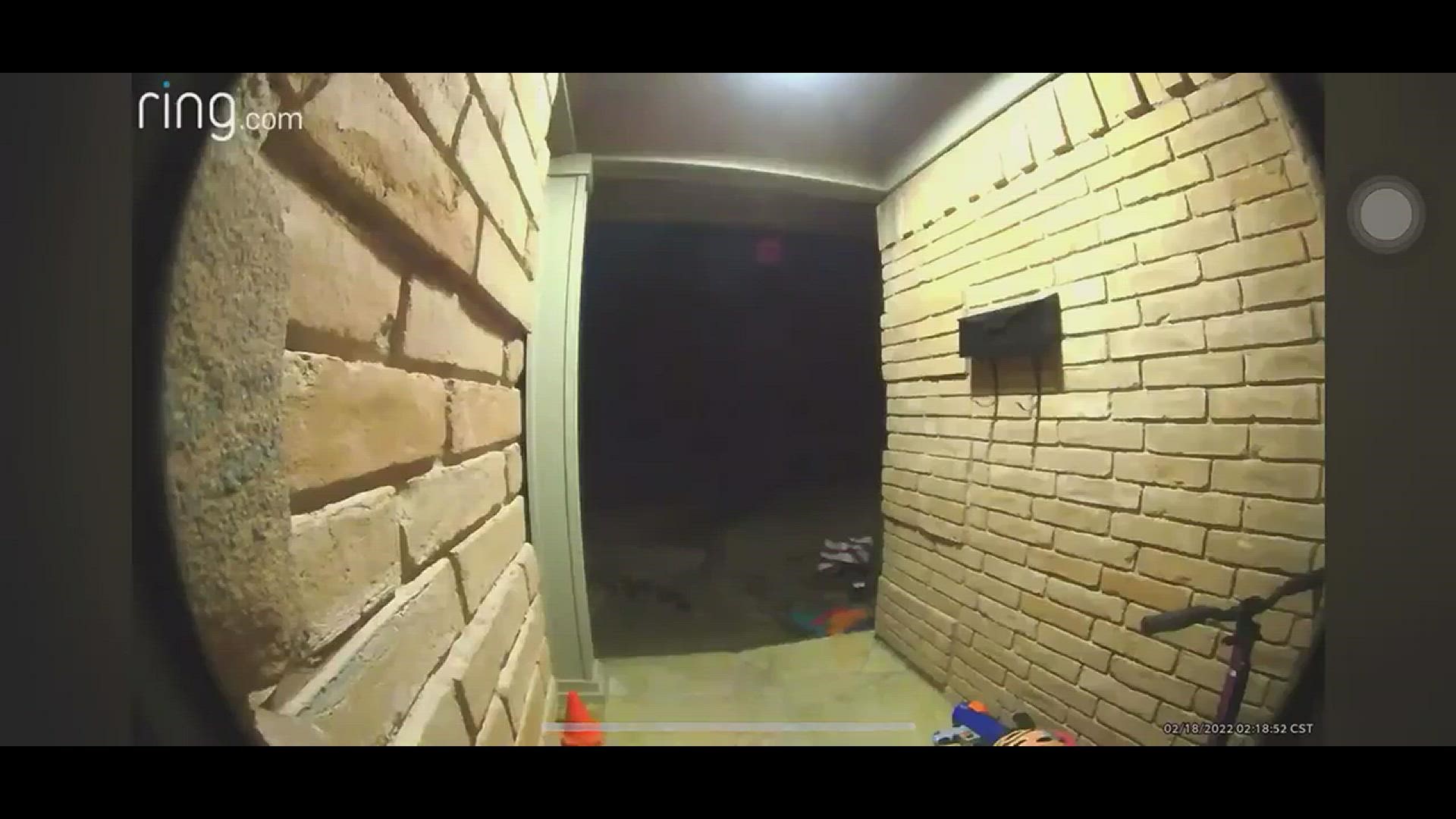 The same coyote that attacked a 2-year-old was caught on camera stealing a DoorDash order from a home in Lake Highlands. The child is expected to recover.