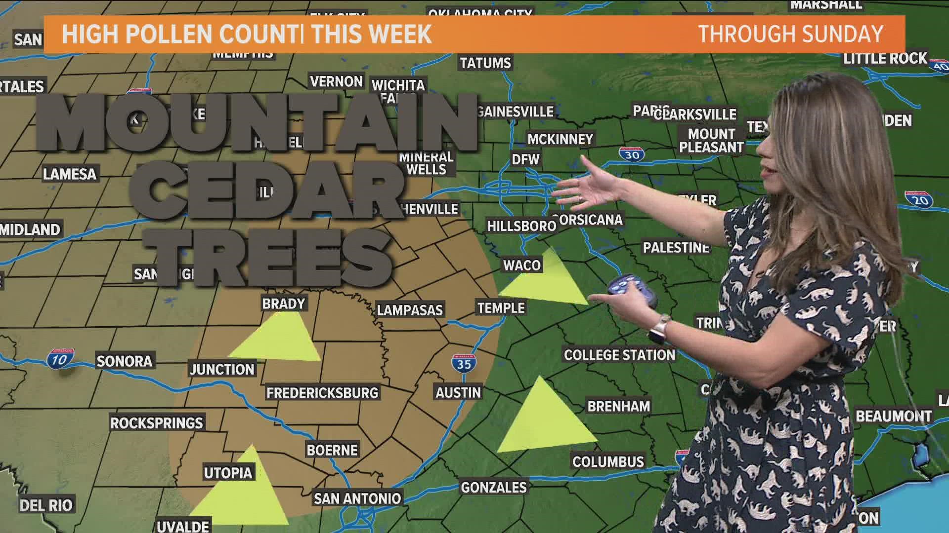 Fortunately, we do have some rain in the forecast that could settle down the pollen in North Texas.