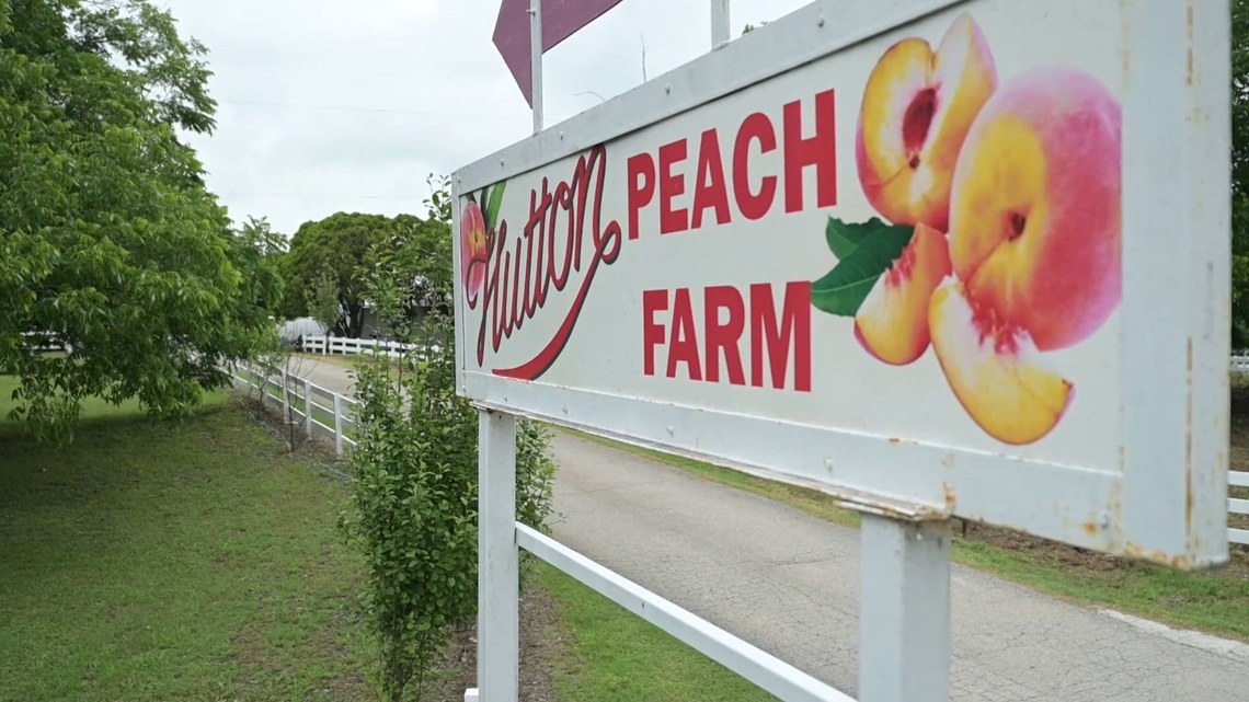 Warm winter, late freeze leaves Texas fruit growers facing reduced crop