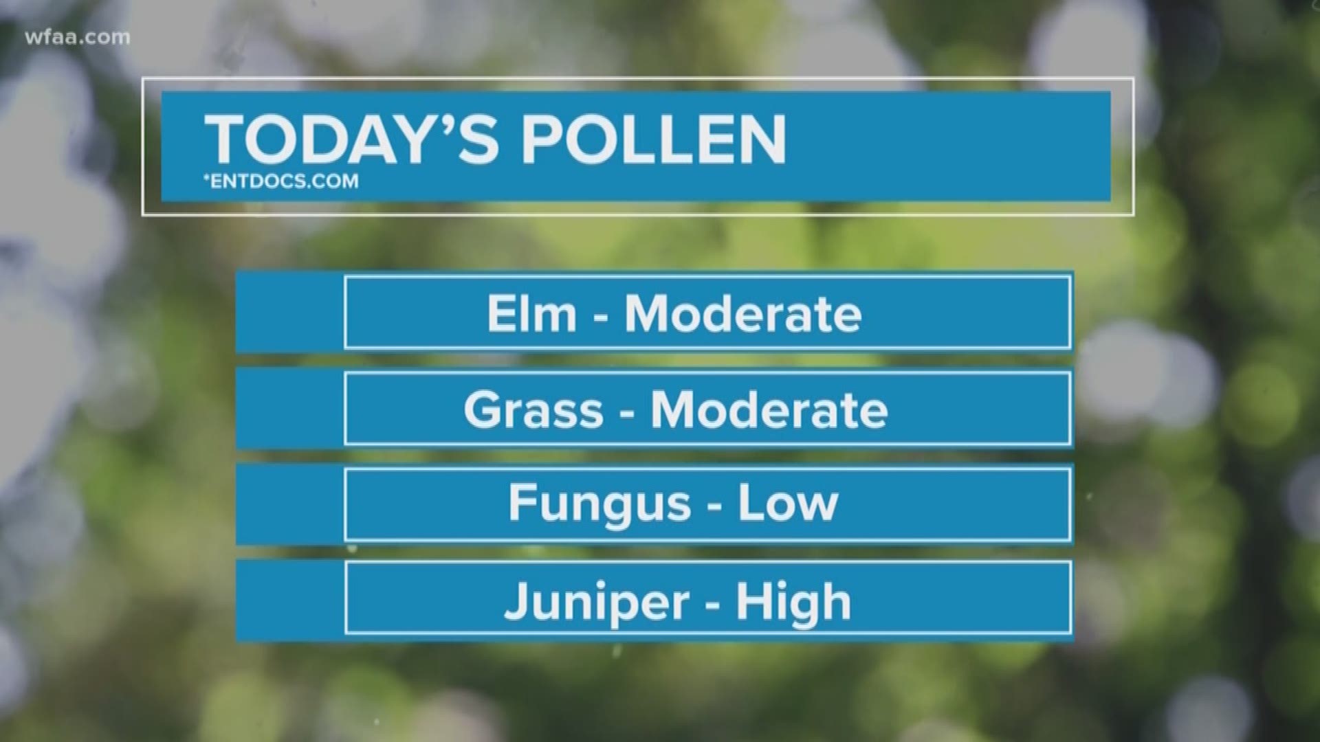 Winter, spring, summer, fall. Allergies can be bad all year in North Texas. Juniper is what many are feeling right now.