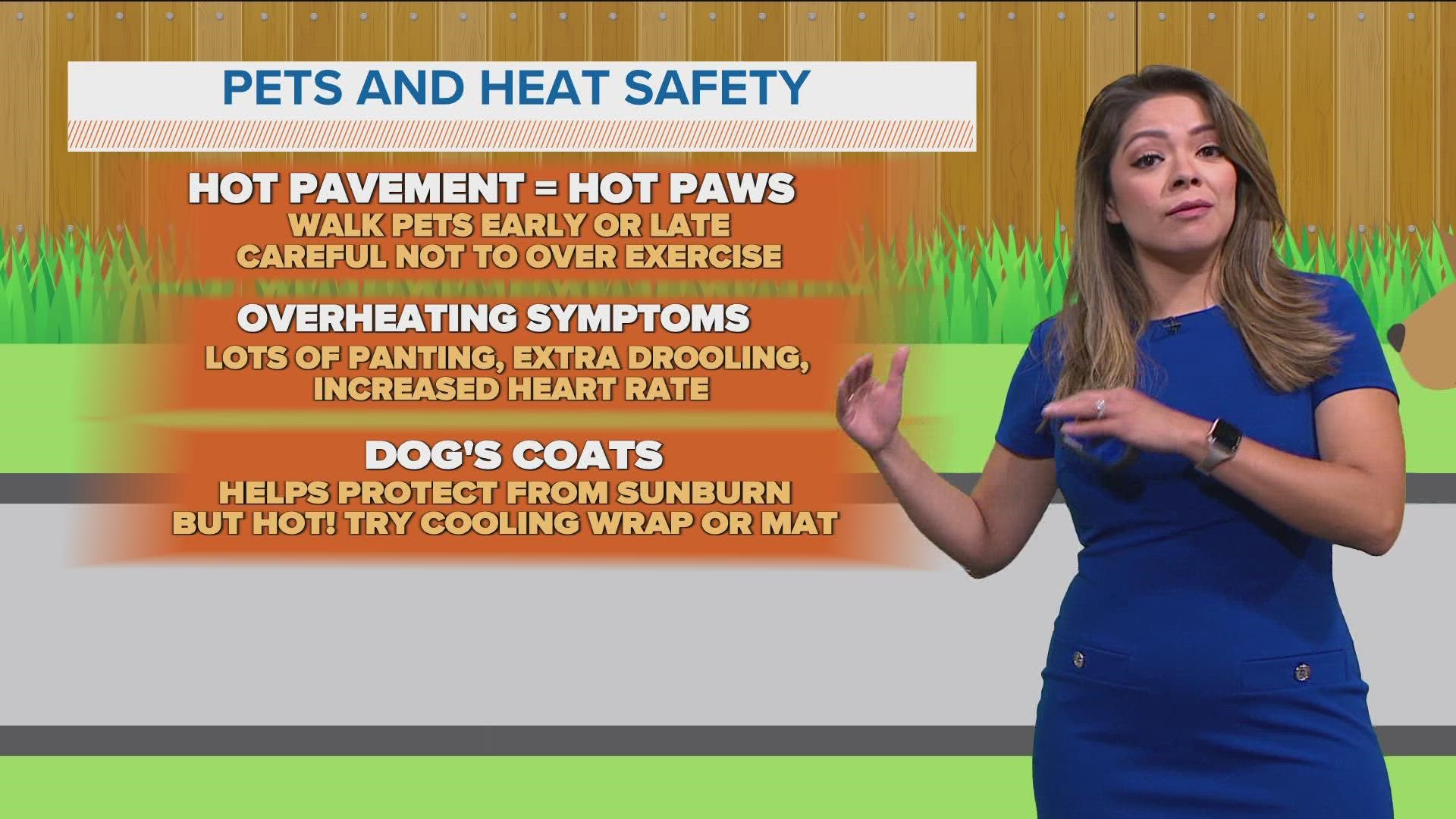 PETA on X: Many dogs die in the hot weather! How to keep yours safe and  cool:   / X