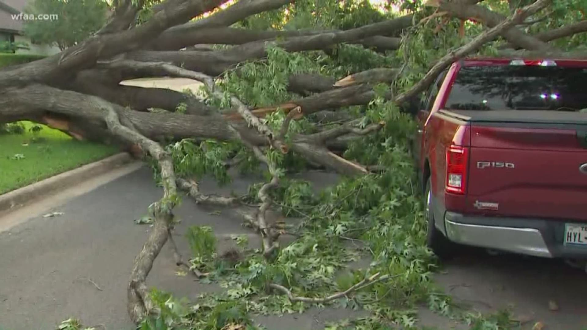 Power is still out, tree limbs litter streets: Oncor gives updates on outages