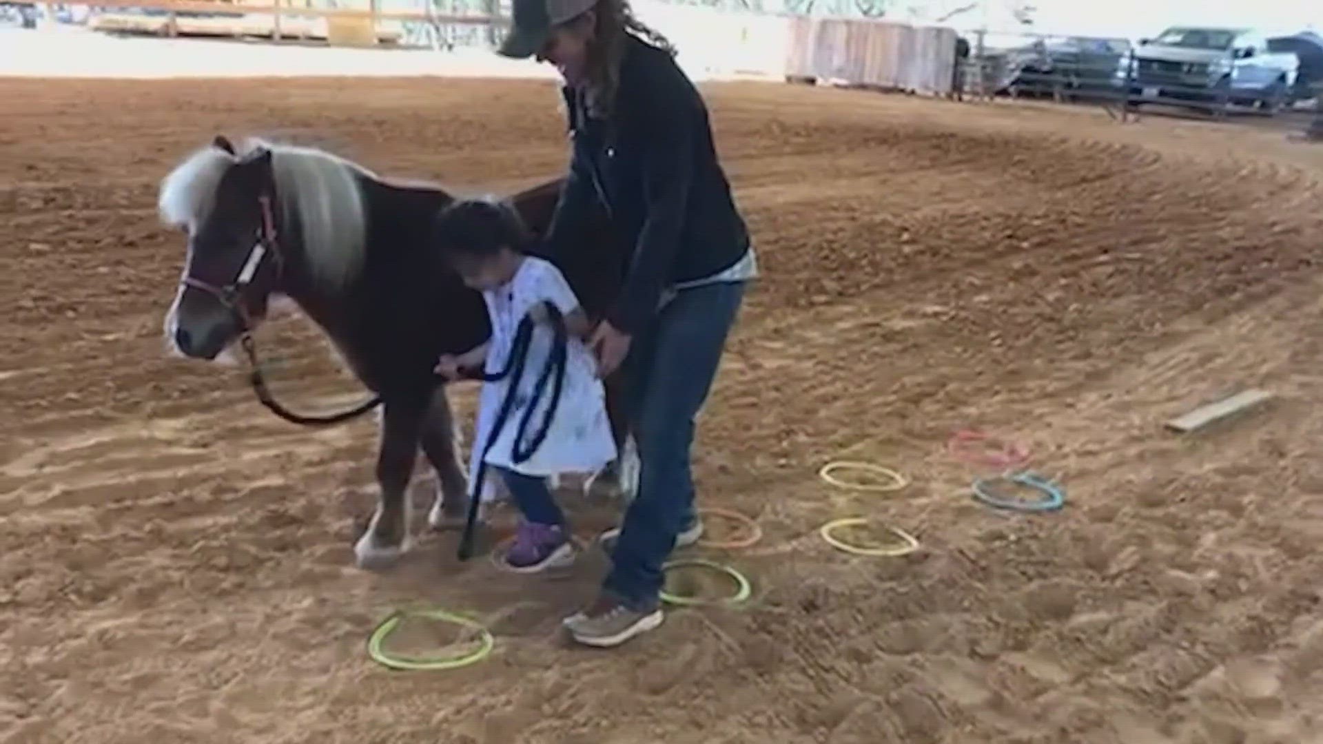 Gus is only three foot tall, but he's a huge help for patients at Hope Reins in Texas.