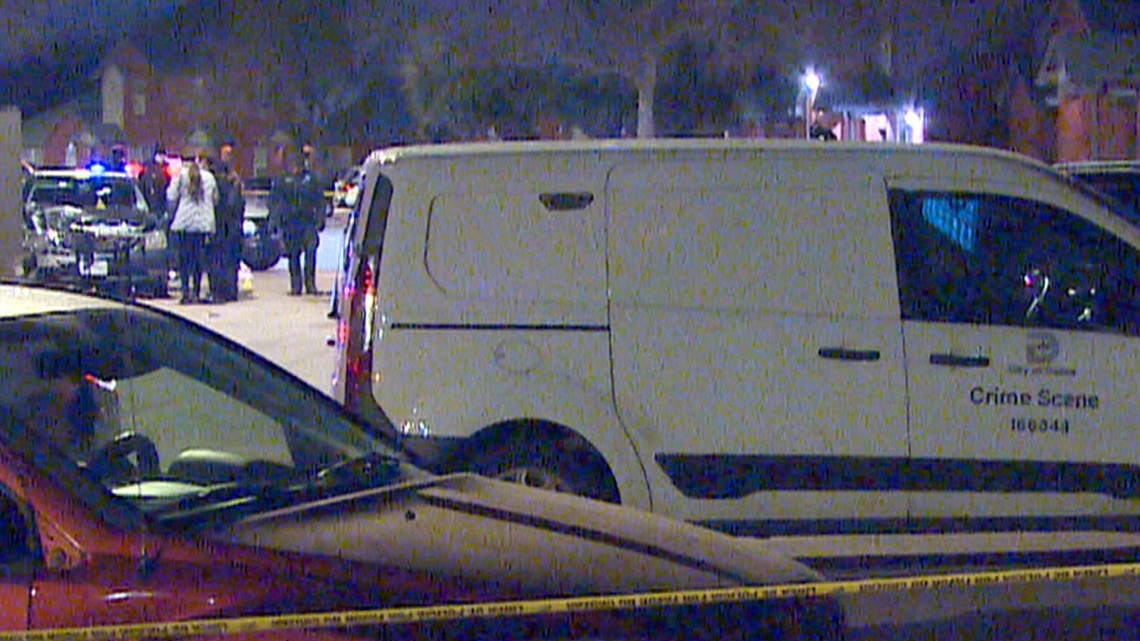 Dallas, Texas shooting: Two victims killed on Bickers Street - Vimarsana News