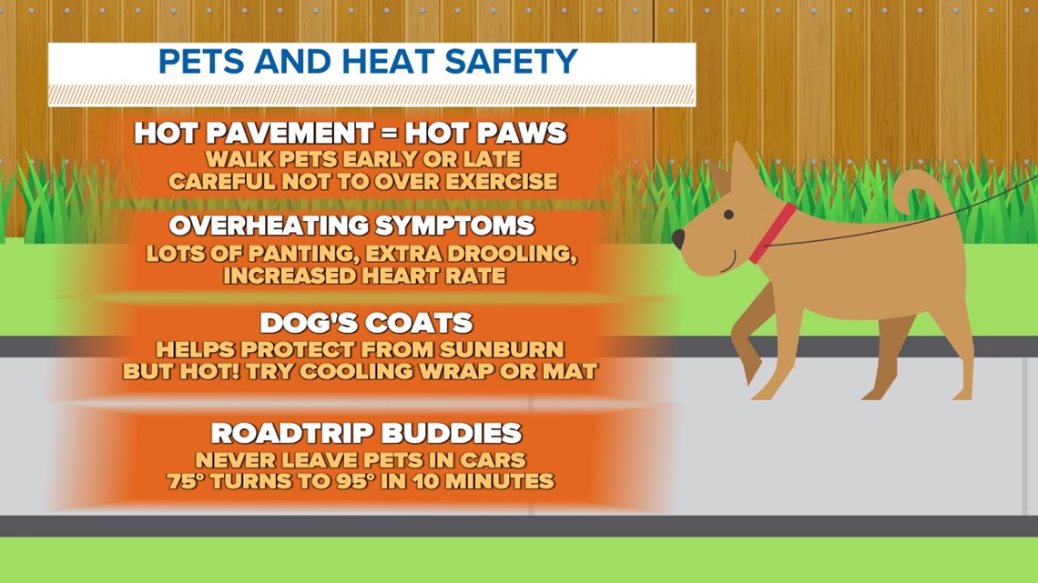 PETA on X: Many dogs die in the hot weather! How to keep yours safe and  cool:   / X