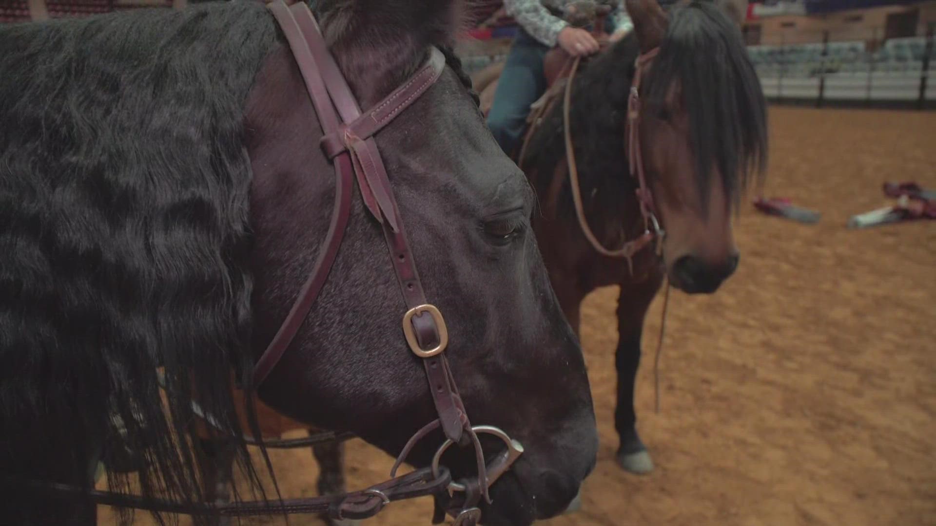 The Magic Mustang program at the Fort Worth Stock Show