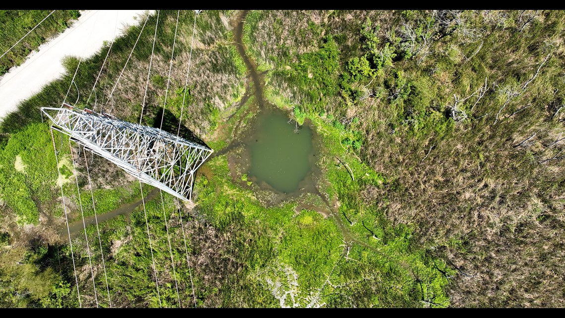 Water specialist finds chlorinated pool in Great Trinity Forest - Vimarsana News