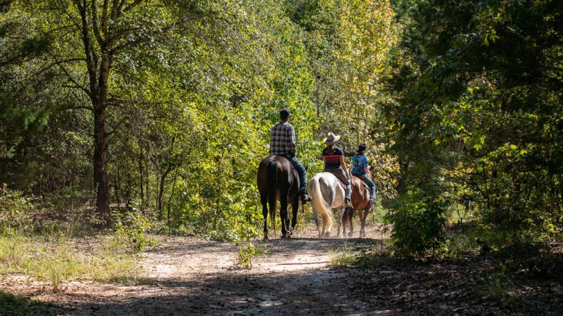 $15.5M East Texas ranch has access to commercial jet strip | wfaa.com