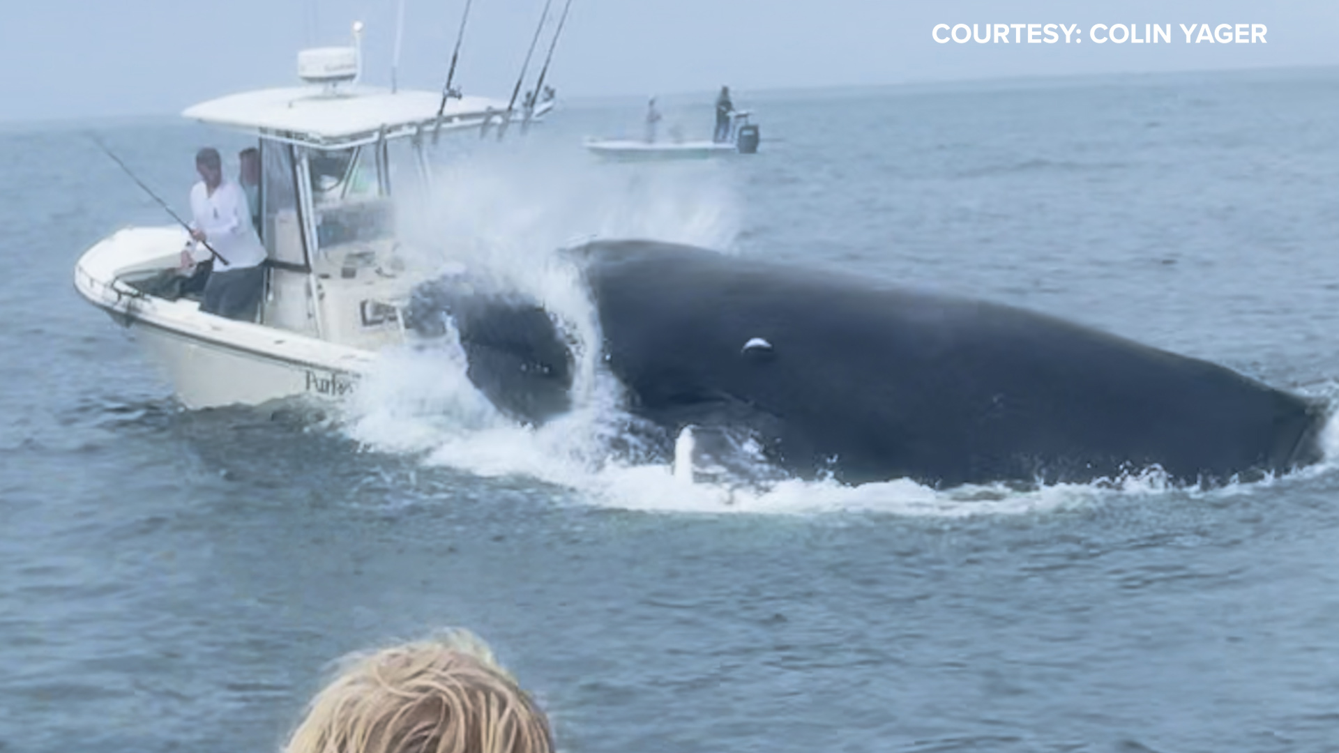 Colin Yager captured the moment a while crashed into a boat on video while he and his brother were fishing off the New Hampshire coast.