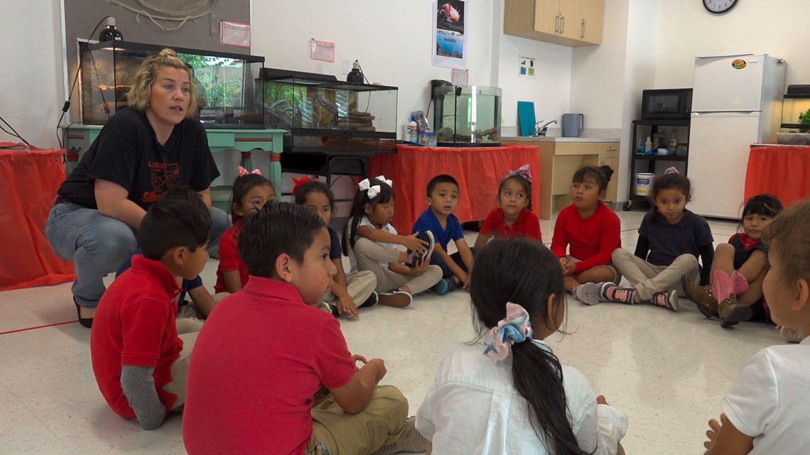'Critter room' at Dallas, Texas elementary school - Vimarsana News