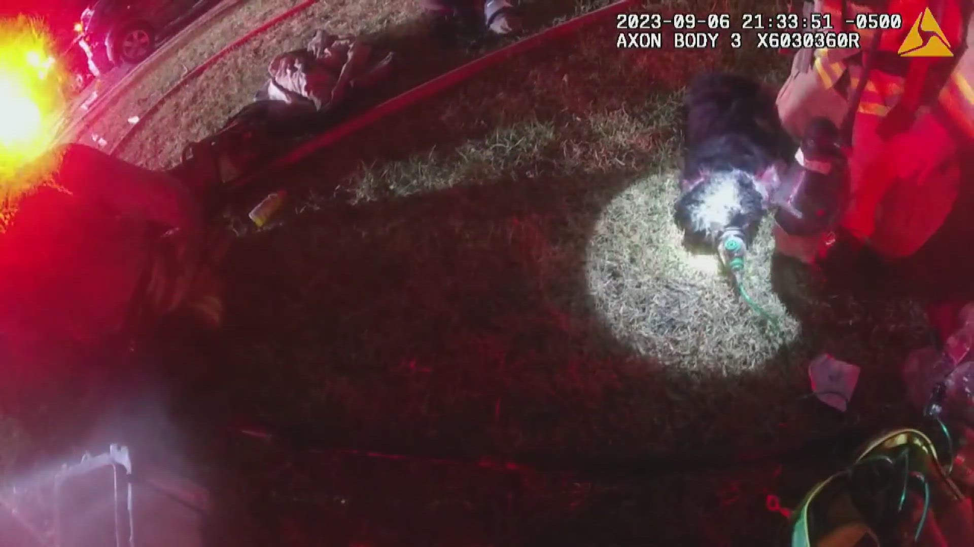 The firefighters performed CPR and used an oxygen mask to help revive the animal.