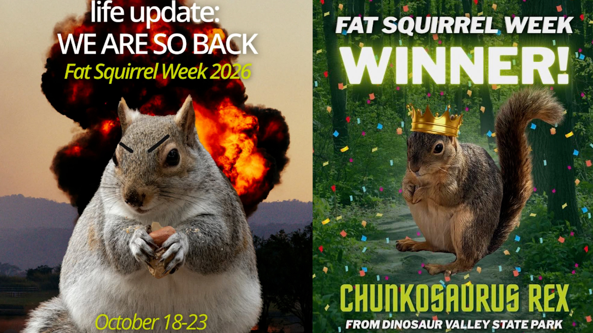 Move over bears ... Texas' fattest squirrels are taking over