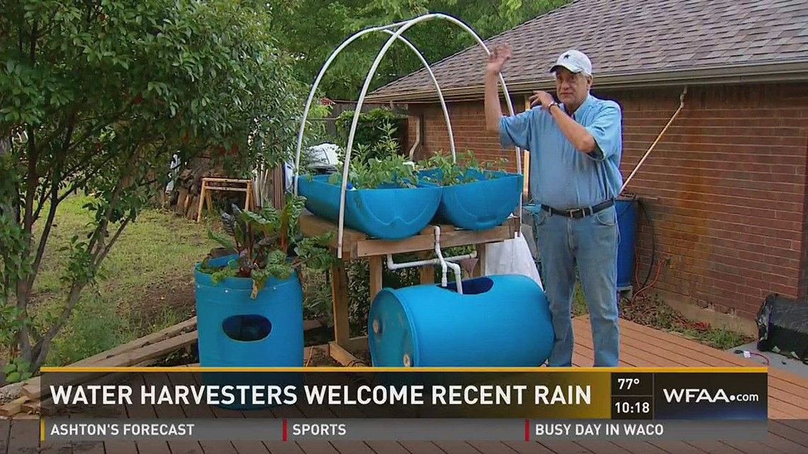 Water harvesters recent rain