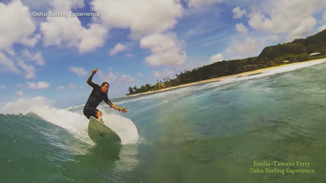 'Pirates of the Caribbean' actor dies in shark attack while surfing ...