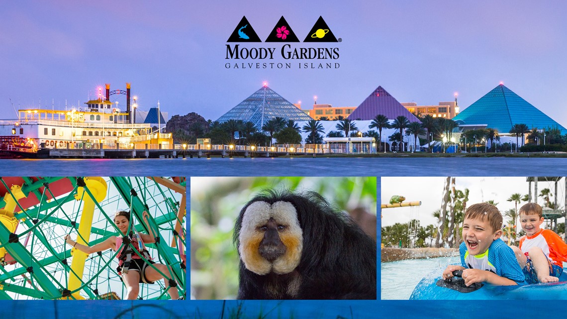 Moody Gardens Getaway Spring 2024