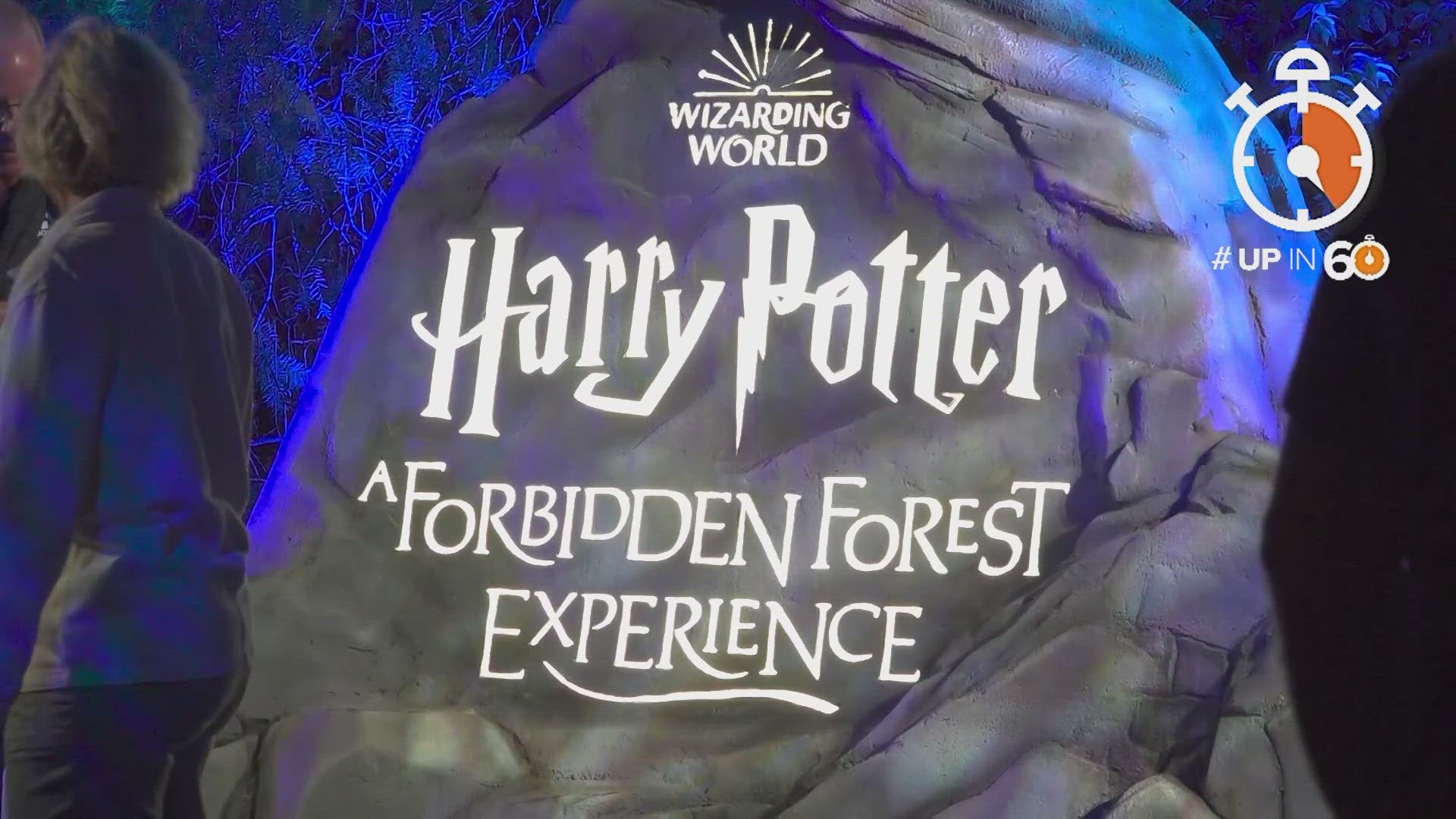 The Harry Potter Forbidden Forest Experience is open now through January in Little Elm Park.