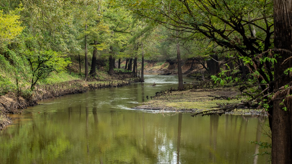 1,100acre Big Cypress Bayou River Ranch being marketed in 'call for