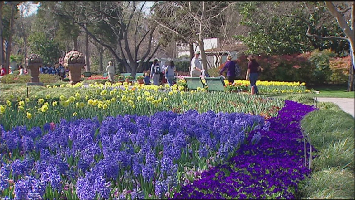 Dallas Arboretum brings back food and wine festival