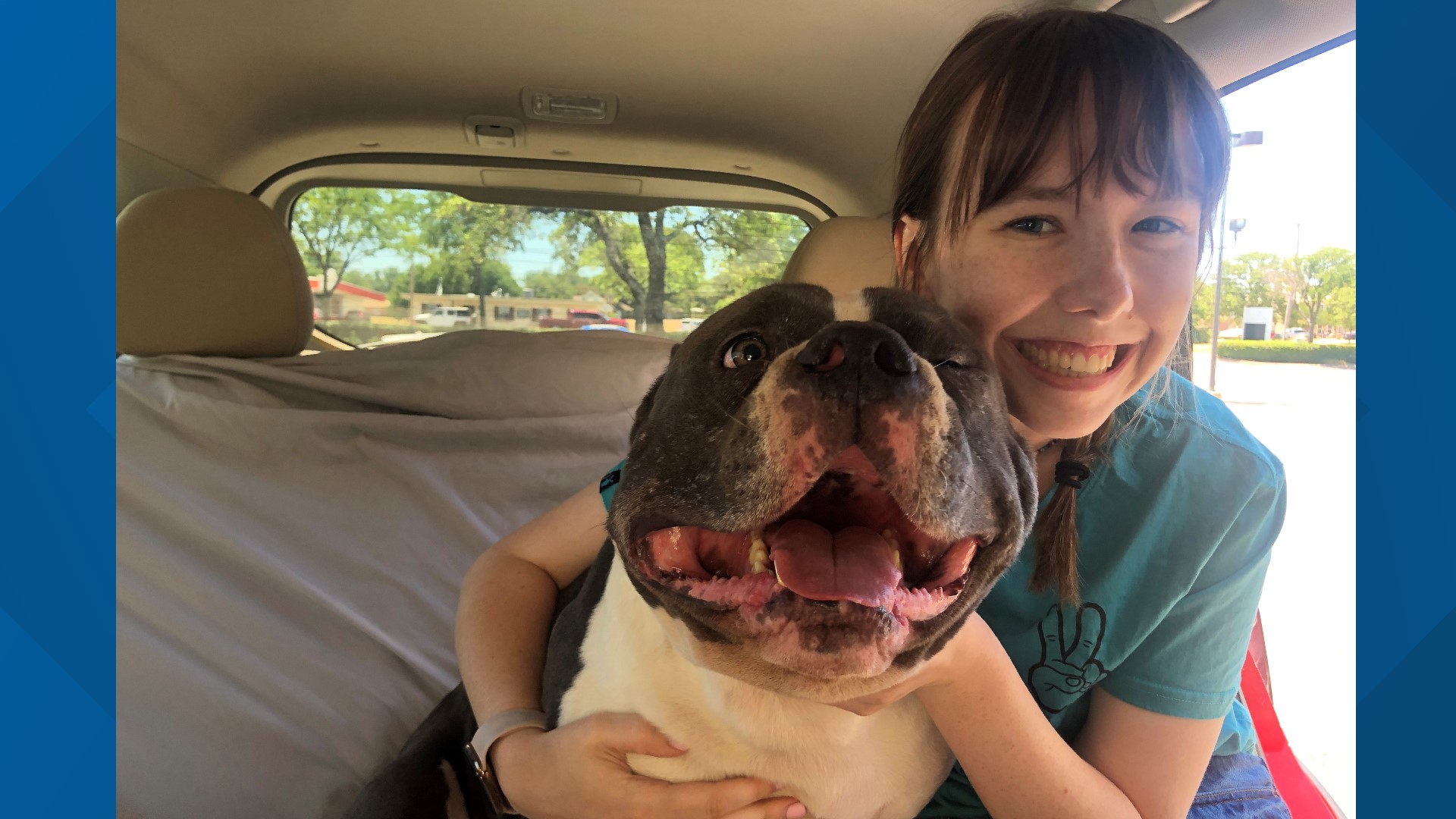Texas dog reunites with family after going missing for months | wfaa.com