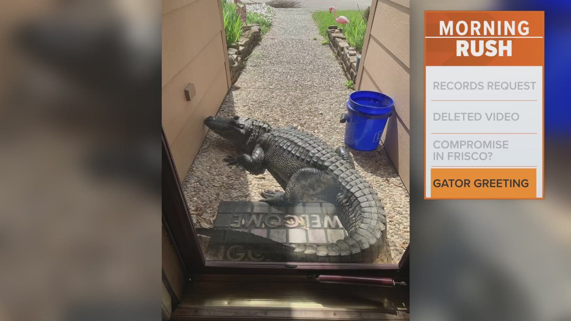 The Houston-area woman said she thought her kids were playing a prank on her...until she saw the gator blink.