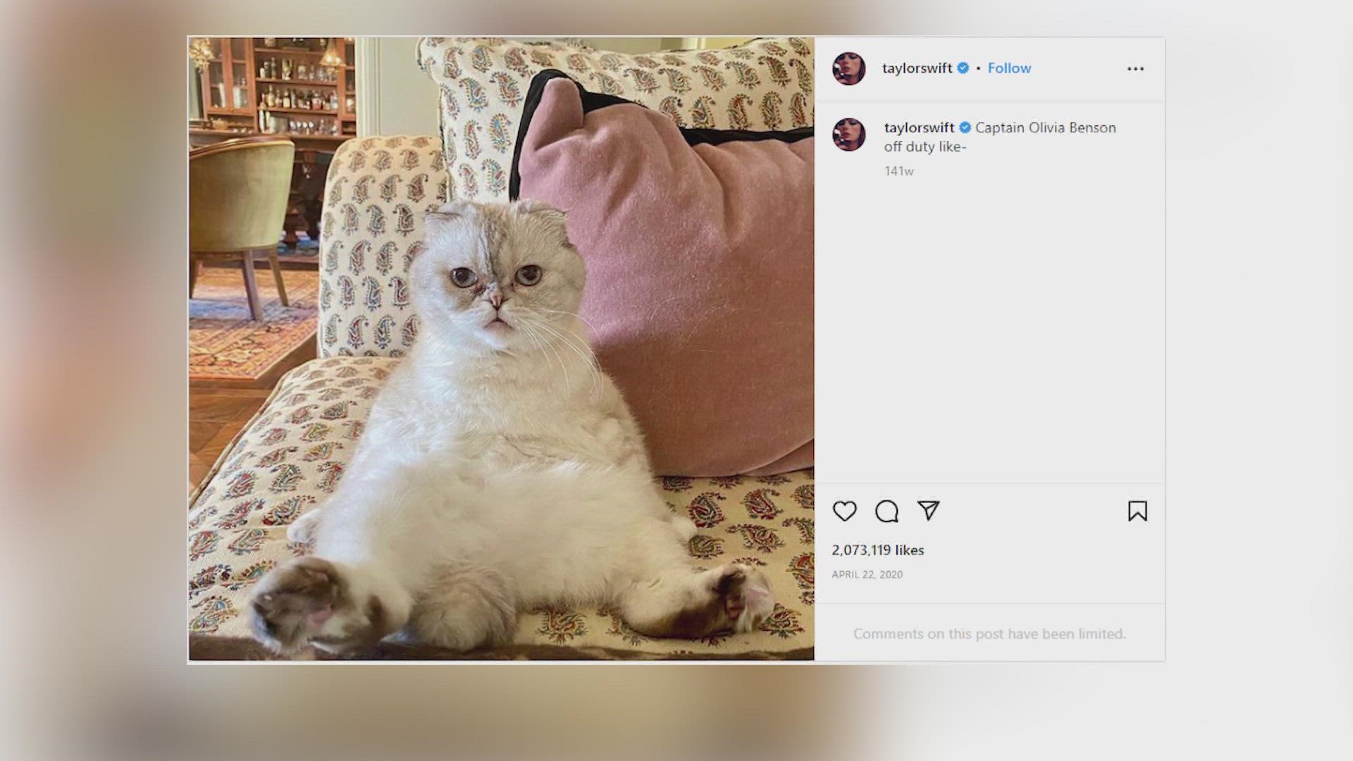 Swift's cat Olivia Benson and Oprah's five dogs respectively have the second and third highest value according to a study using Instagram analytics.