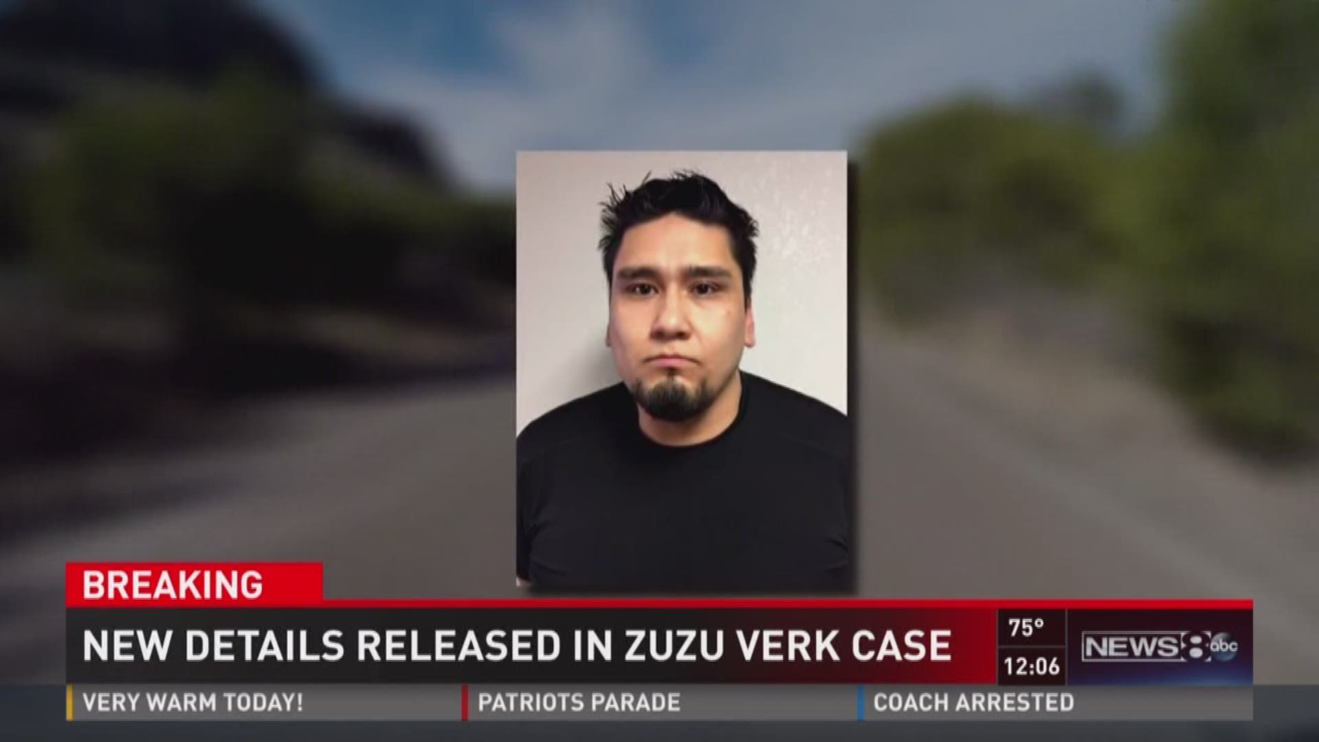 New details released in Zuzu Verk case