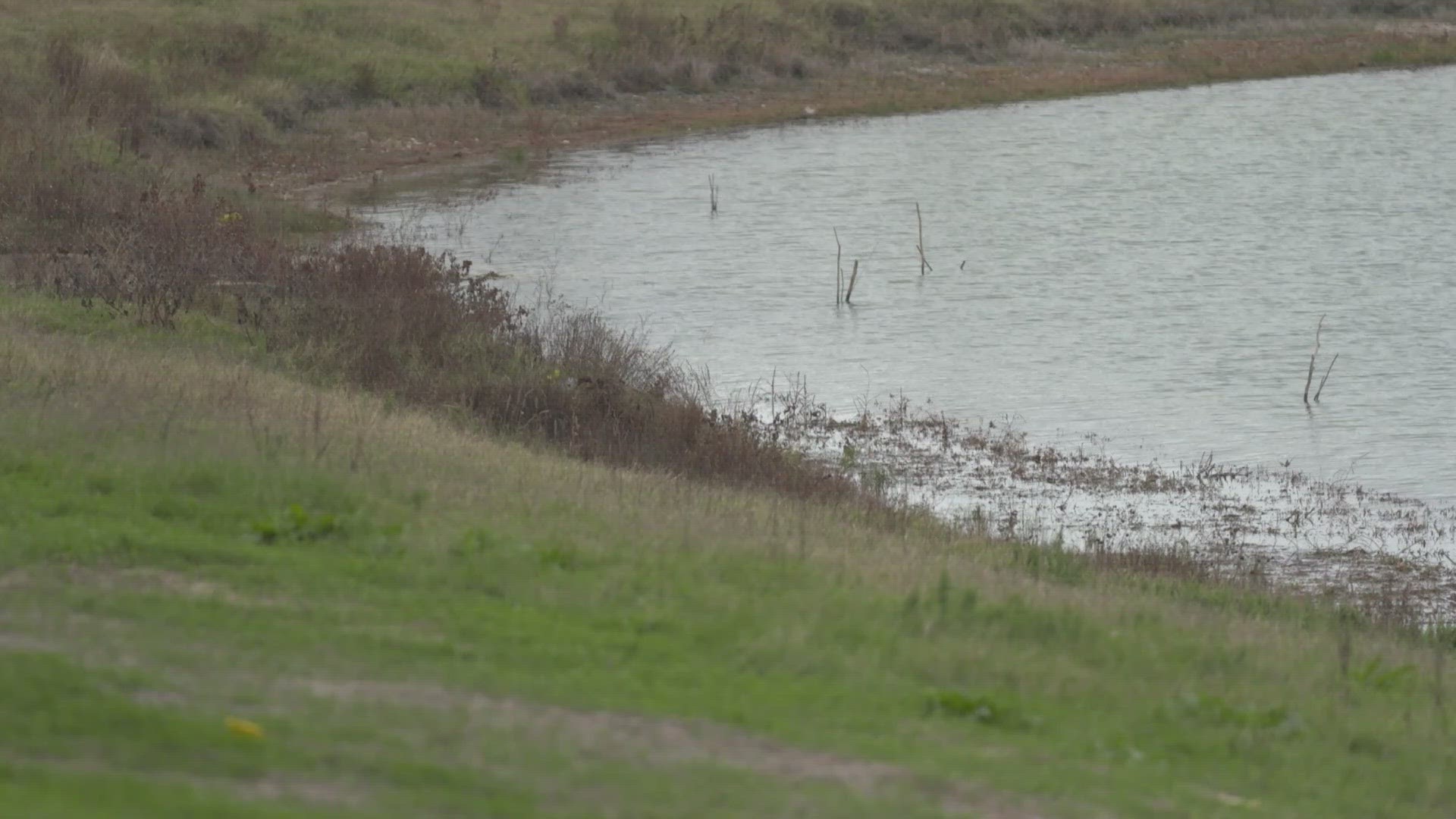 Police responded to a call from a man alleging his wife stabbed him. Officers later found the wife and her three children in a car that had been driven into a lake.