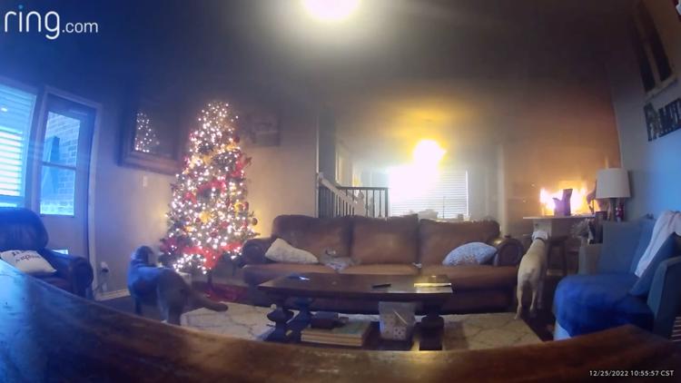 Dog started fire in Frisco home on Christmas morning, family says