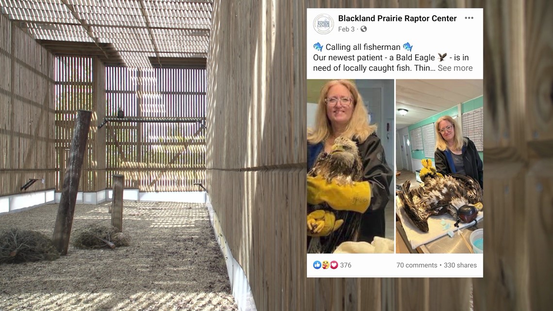 Flooring Options for Allergy Sufferers with 50 Floor