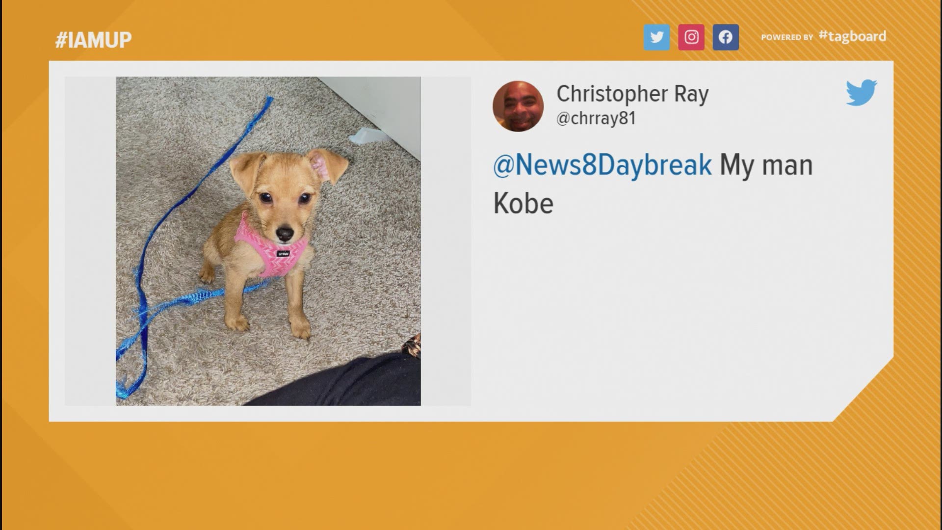 It's National Puppy Day and one thing we know here on Daybreak---when we ask for those dog pics, y'all show up on social media!