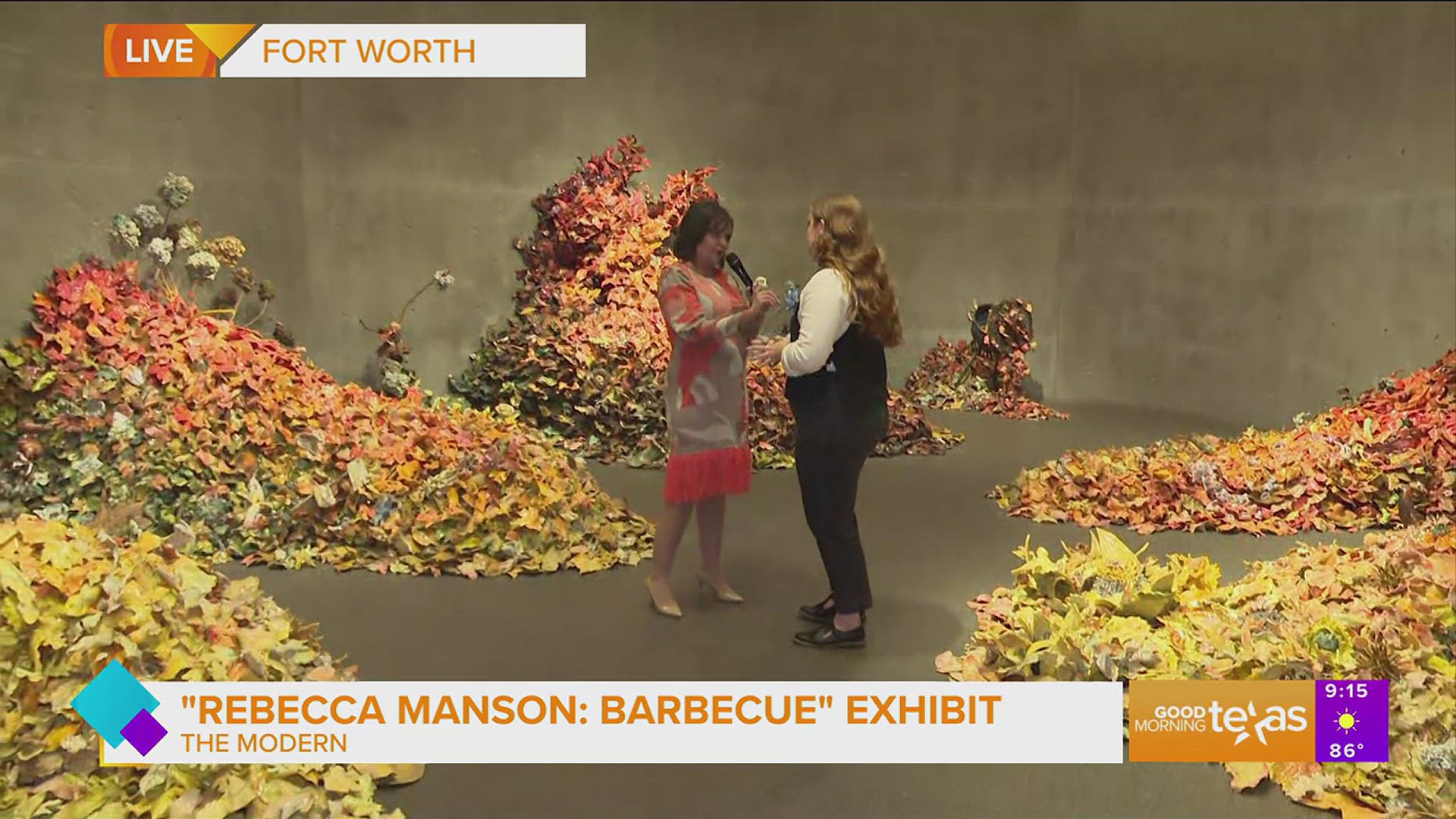 Paige gives us a look at the Rebecca Manson: Barbecue exhibit at the Modern Art Museum of Fort Worth.