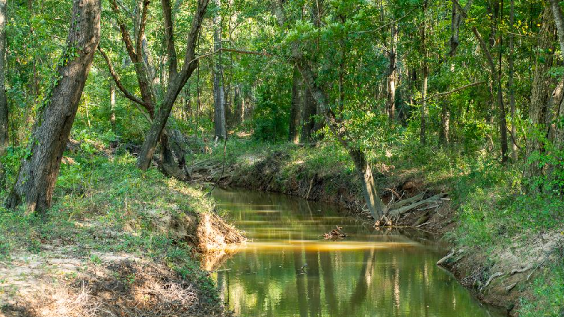 PHOTOS: This $15.5M East Texas ranch has exclusive access to a ...