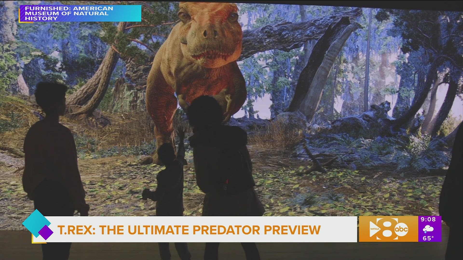 T Rex The Ultimate Predator At Perot Museum Of Nature And Science T Rex The Ultimate Predator At Perot Museum Of Nature And Science