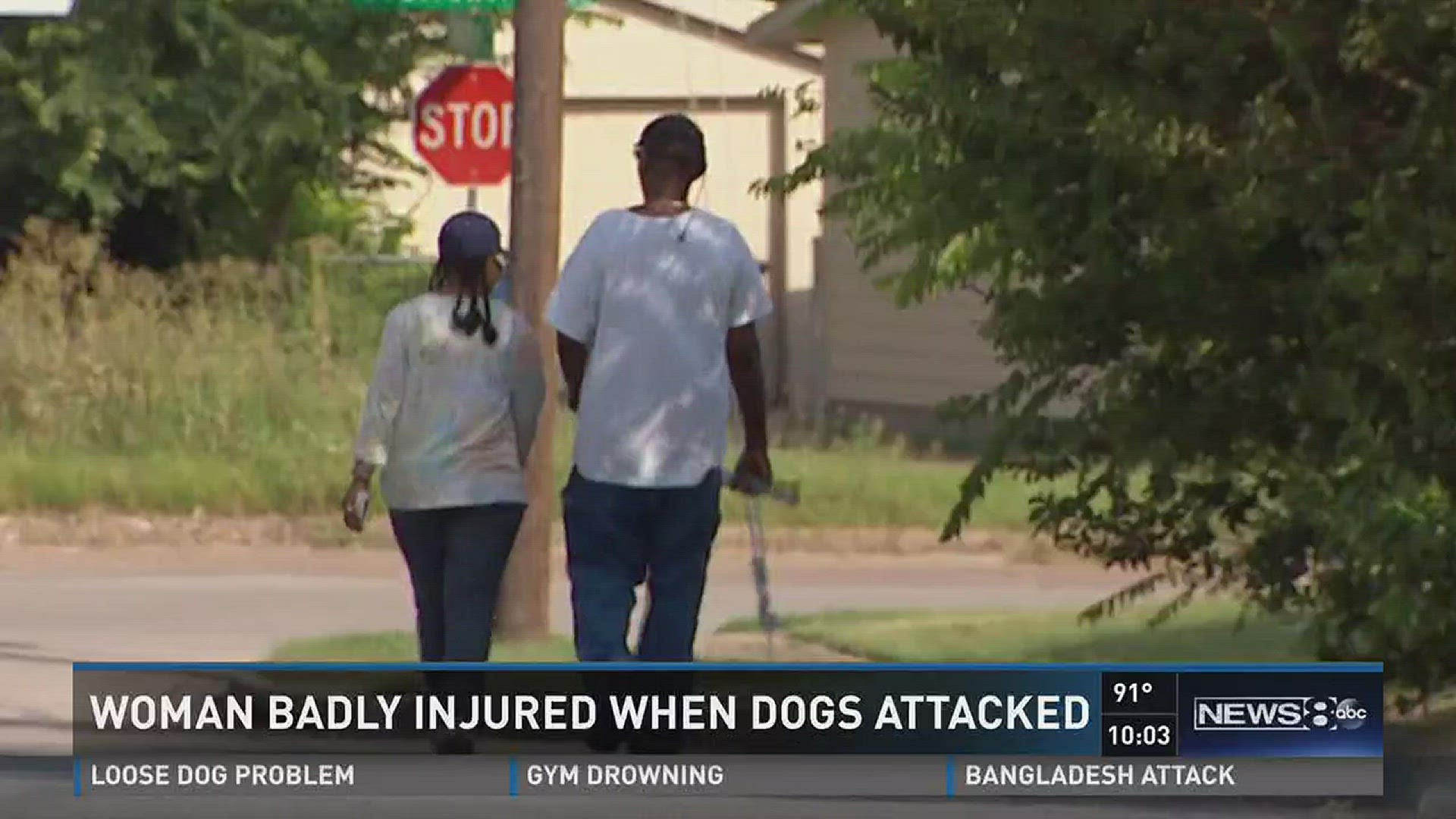 Woman badly injured in dog attack