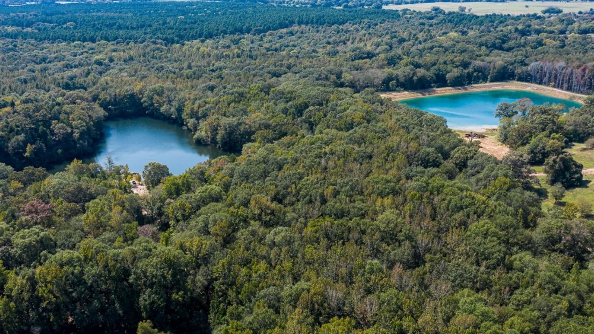 Texas ranches for sale: Sugaree Ranch near Athens taking offers | wfaa.com