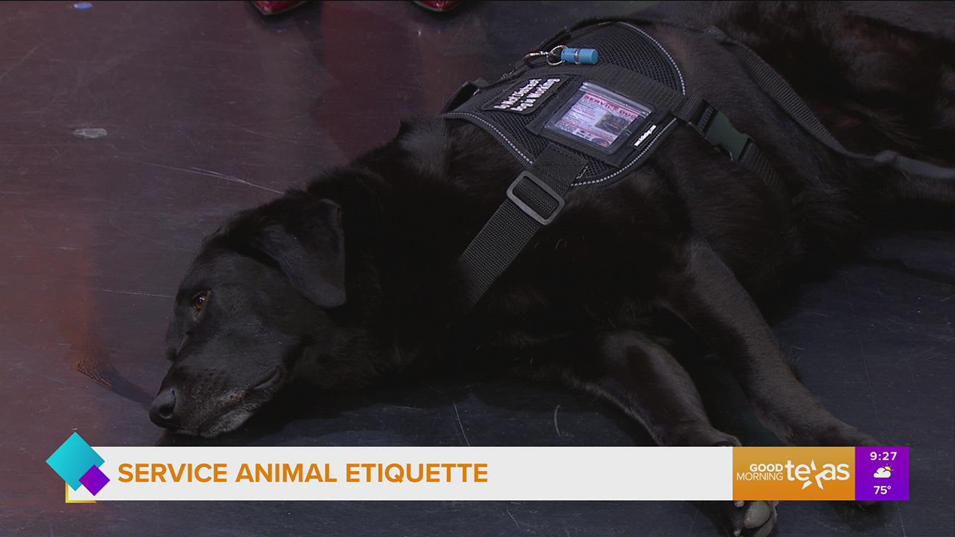 Service animal guidelines and etiquette