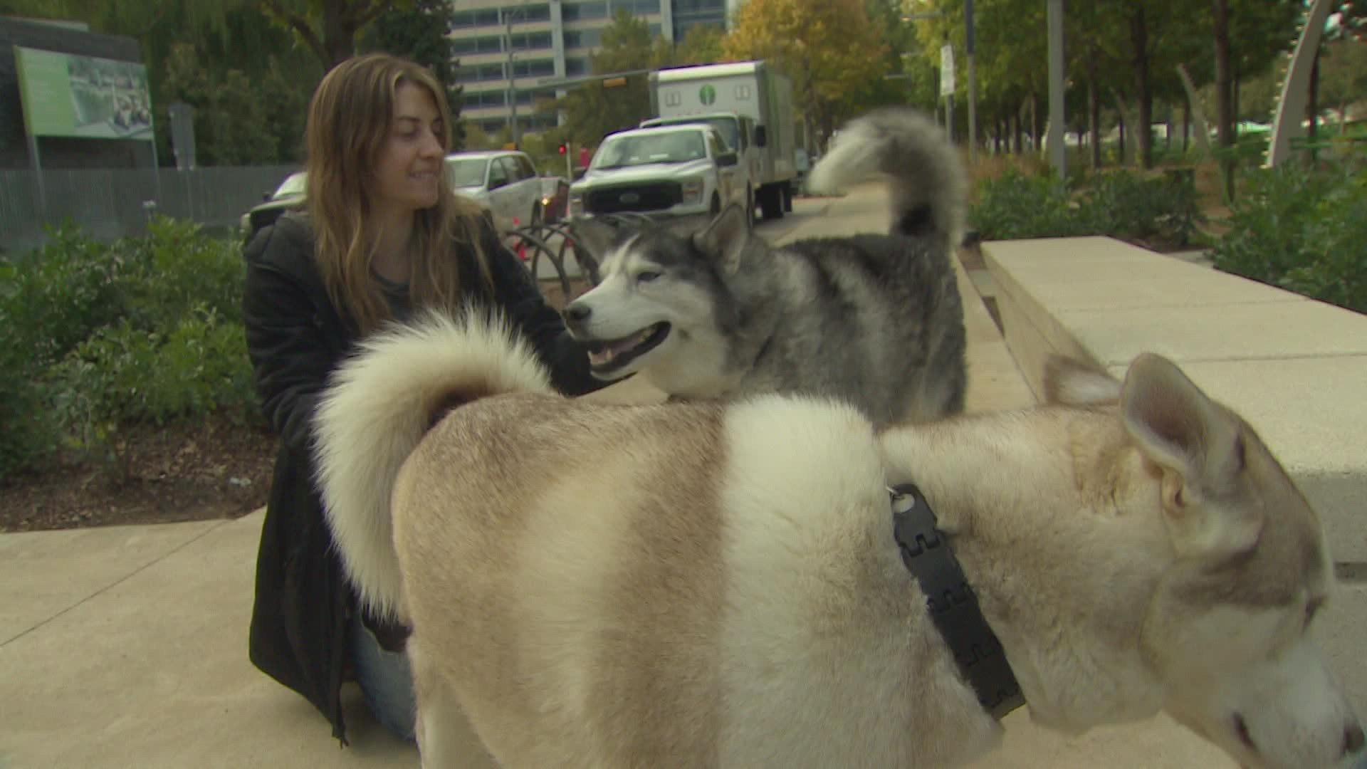 From family to friends to fur babies, Dallasites at Klyde Warren Park share their thanks with WFAA's Greg Fields.