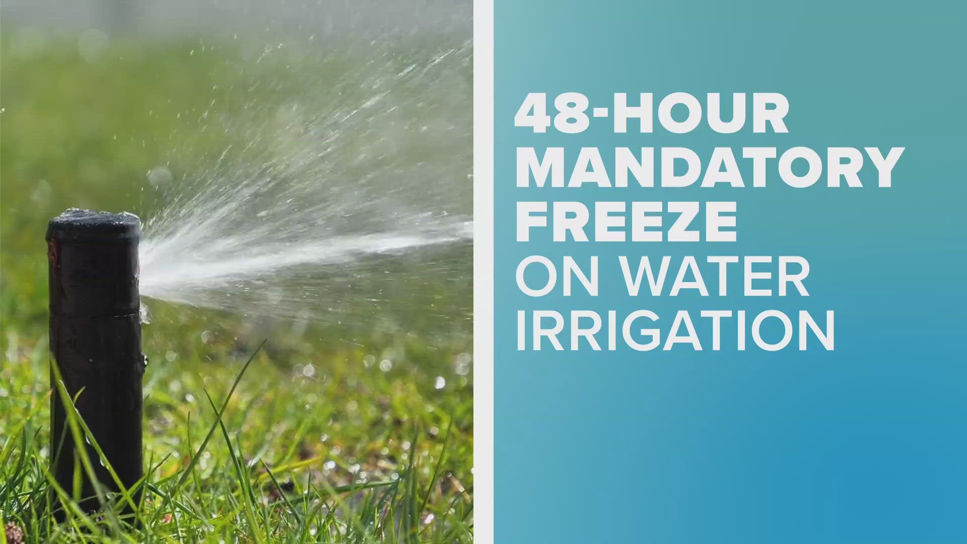 RCH issued a ban on lawn irrigation Thursday after residents surpassed the utility's water allotment by 600,000 gallons.