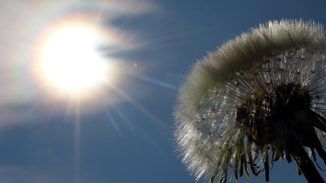 Jesse Hawila - Journalist Profile - Intelligent Relations