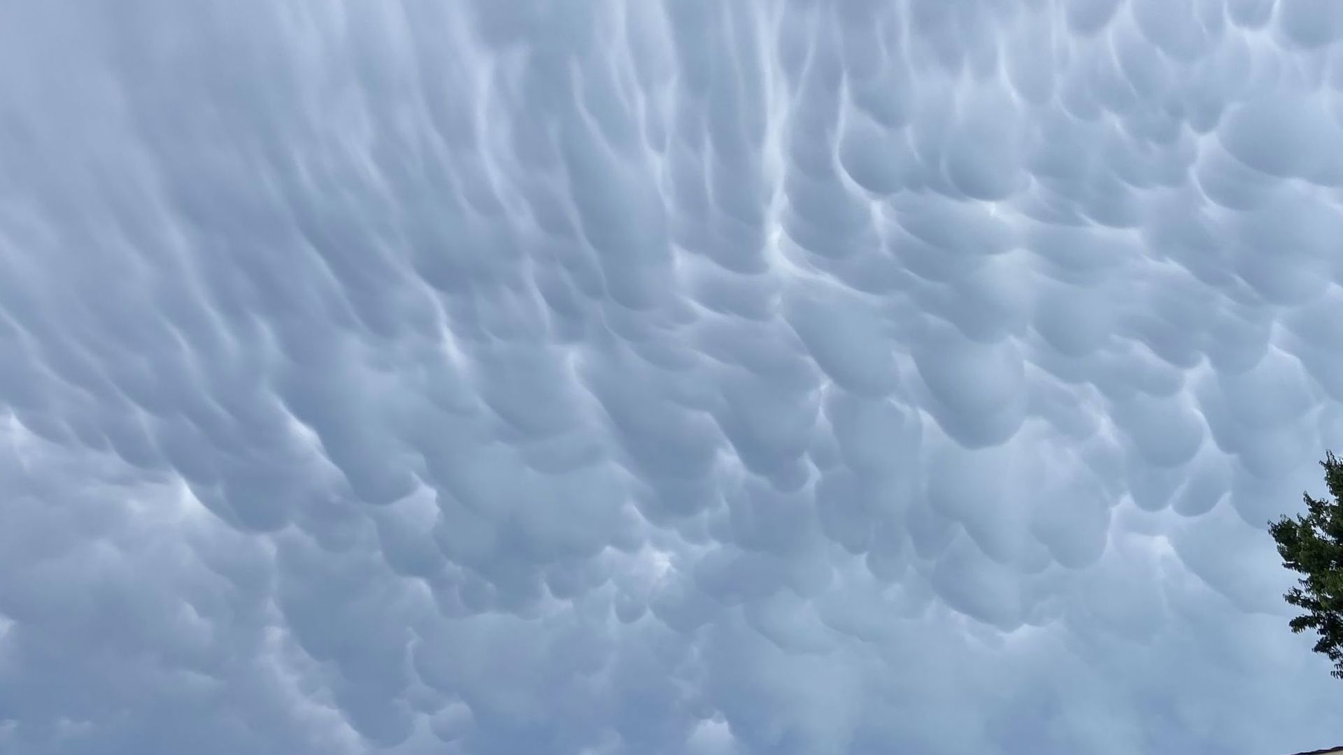 What are those strange looking clouds above DFW? | wfaa.com