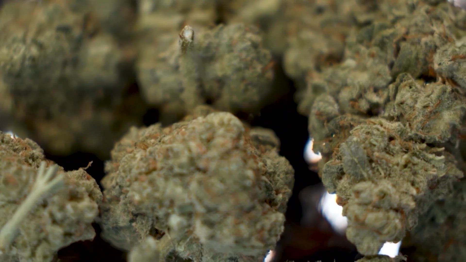 where can i buy weed uk