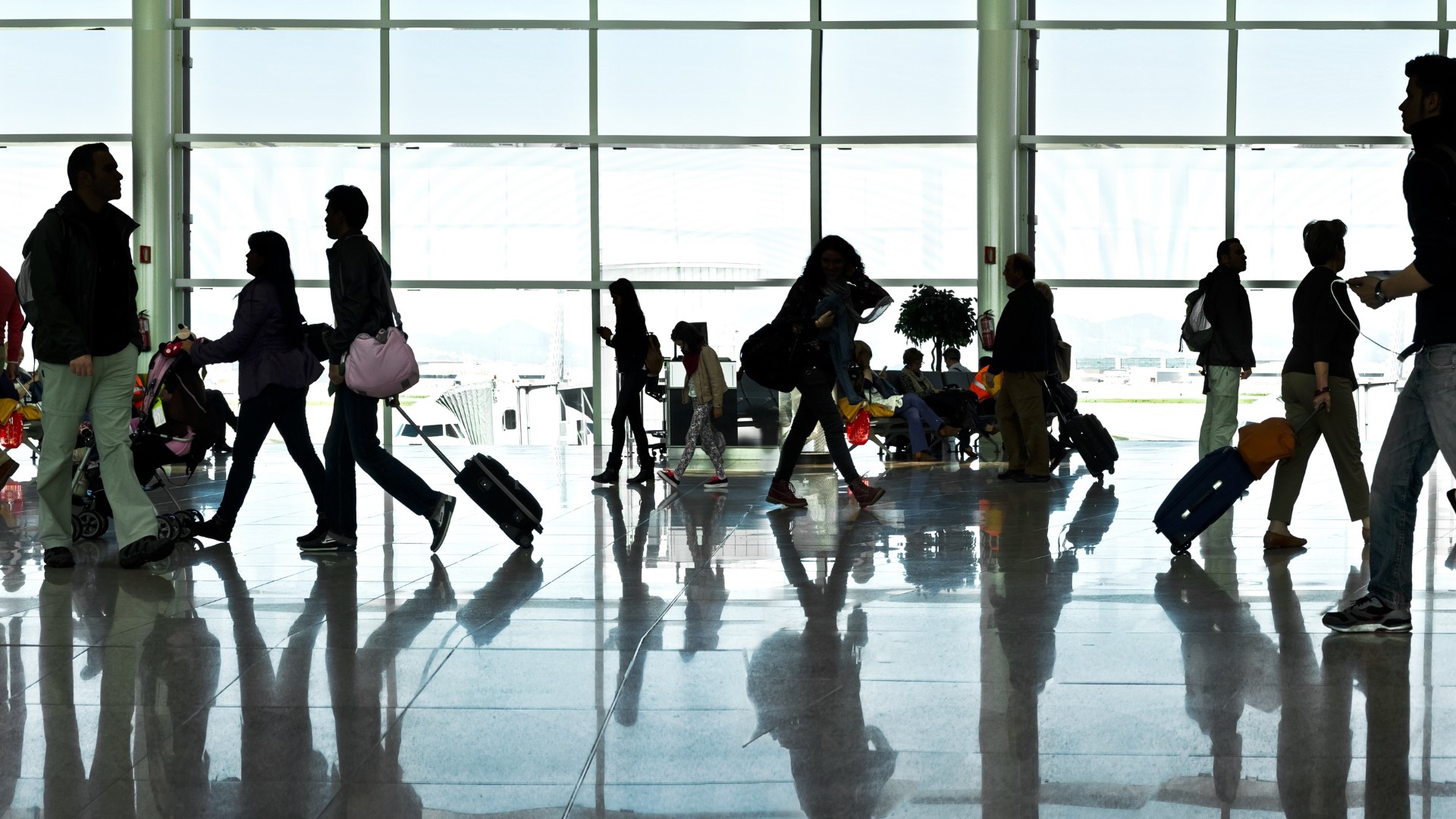 Willis Orlando is the senior product operations specialist with Scott’s Cheap Flights, which scours hundreds - even thousands - of airfares each week.