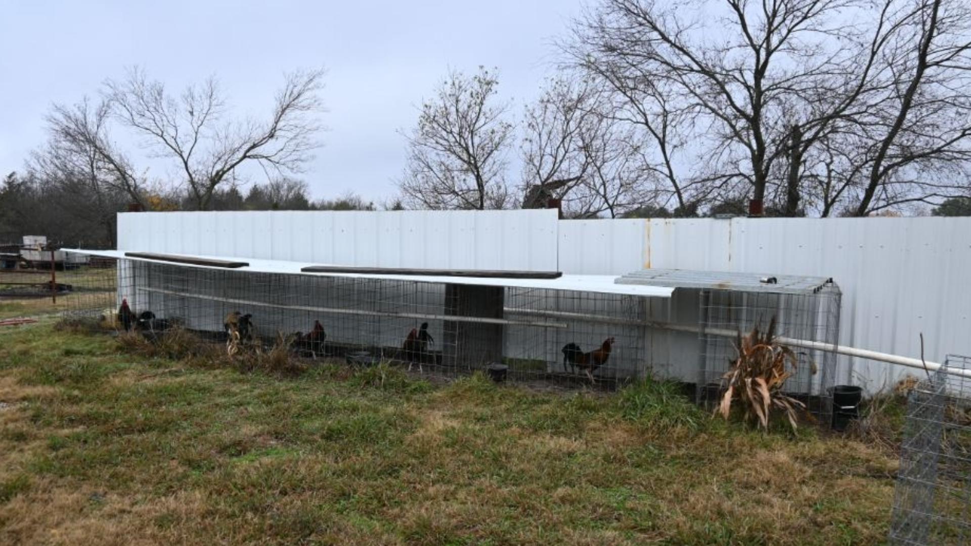 More than 100 animals seized at North Texas property | wfaa.com