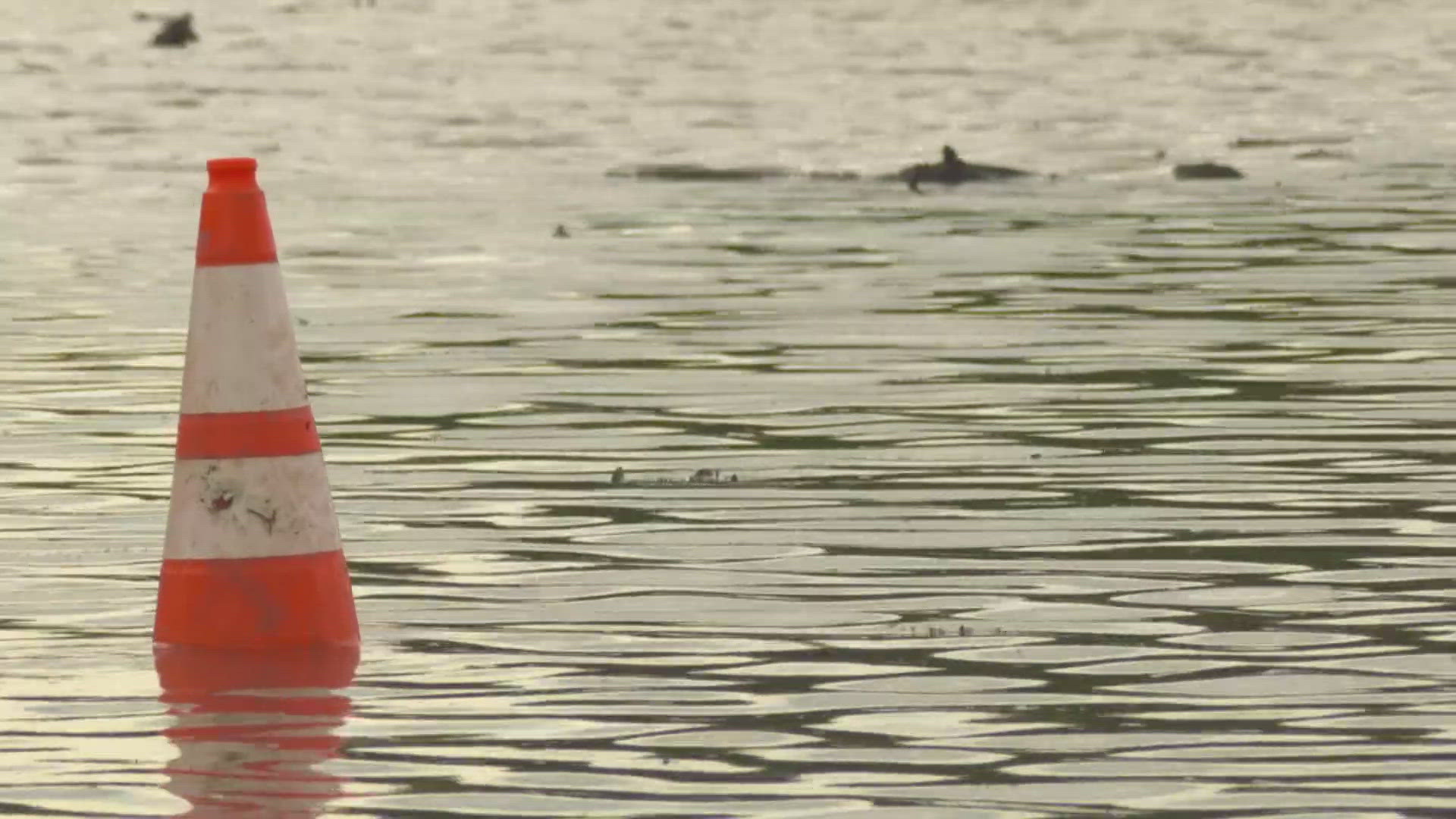 Lake Bridgeport is reopening after rainfall caused flooding earlier this week.
