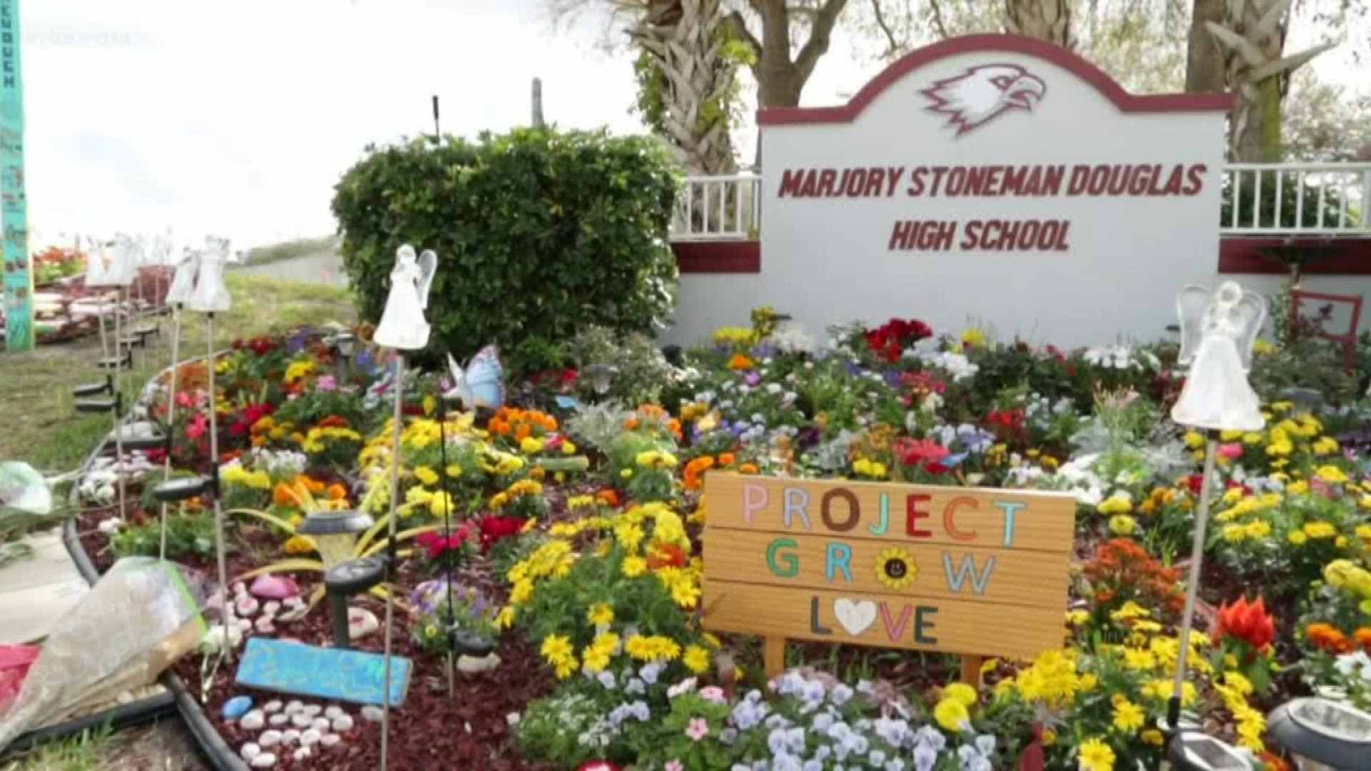 One year ago today, a teenager walked into Marjory Stoneman Douglas High School in Parkland, Fla., and shot and killed 17 people.